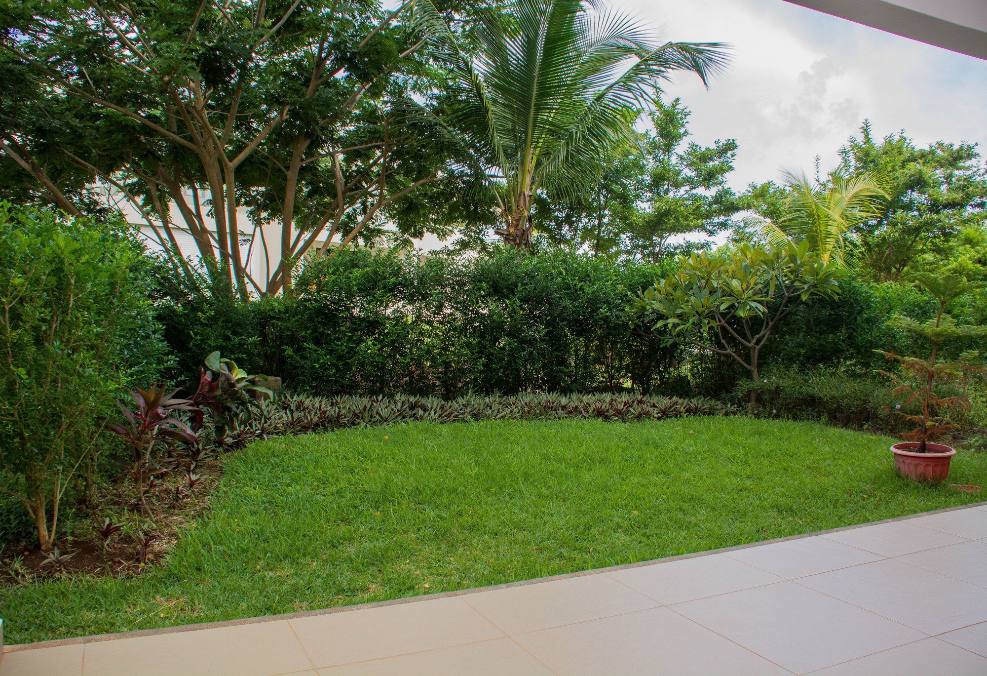 Apartment Azuri Roches Noires Esterno foto